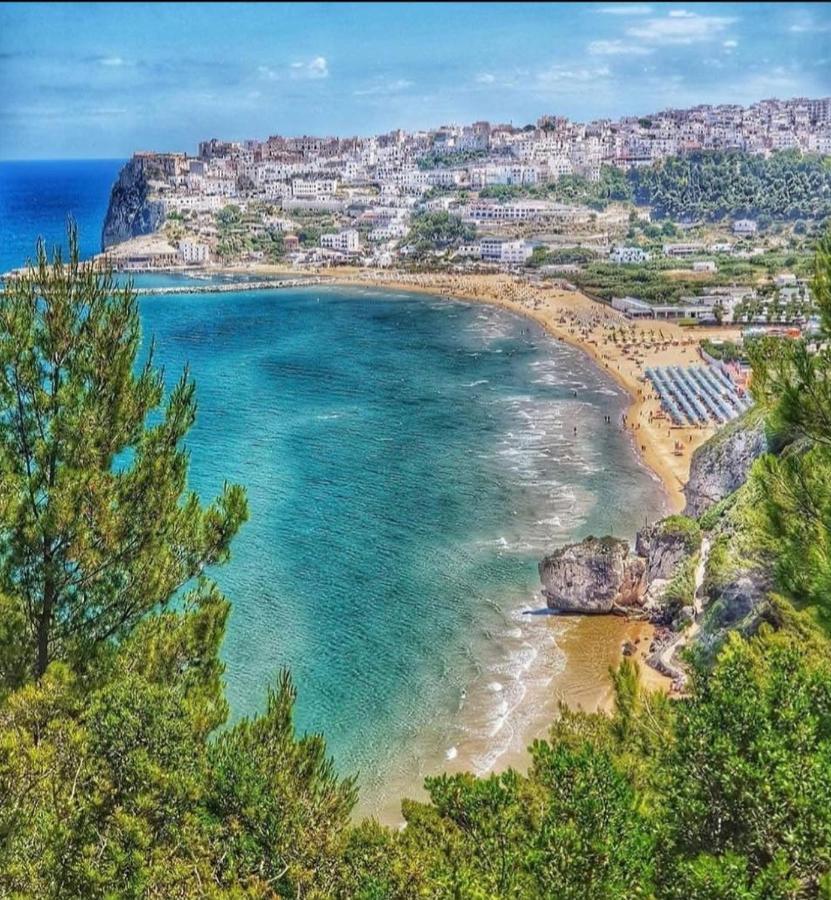 Appartamento Grandi بيسْكيتْشّي المظهر الخارجي الصورة